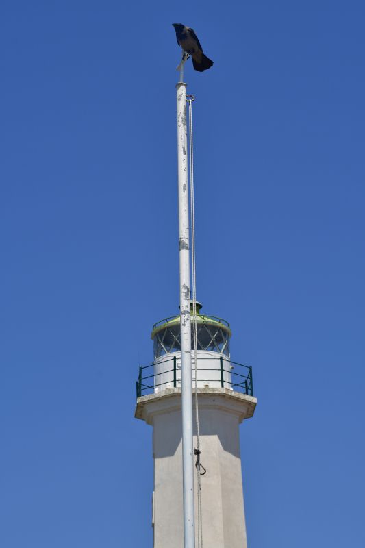 Common Pitfall to Avoid